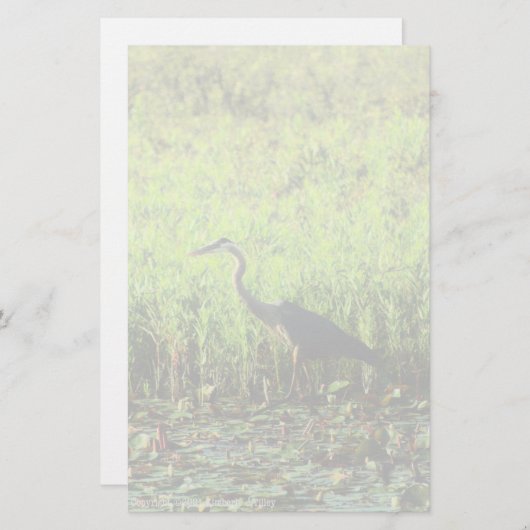 Heron 6449 (Vorne/Hinten)