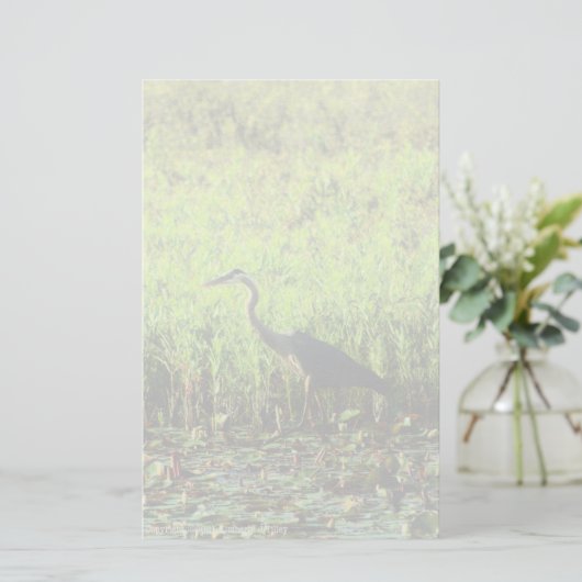 Heron 6449 (Stehend Vorderseite)