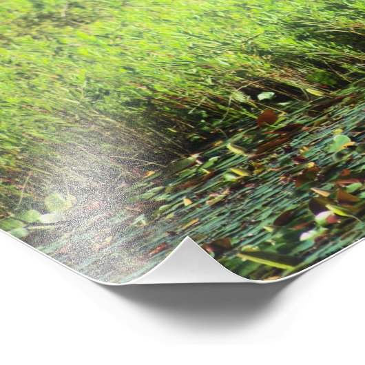 Heron 6449 fotodruck (Ecke)