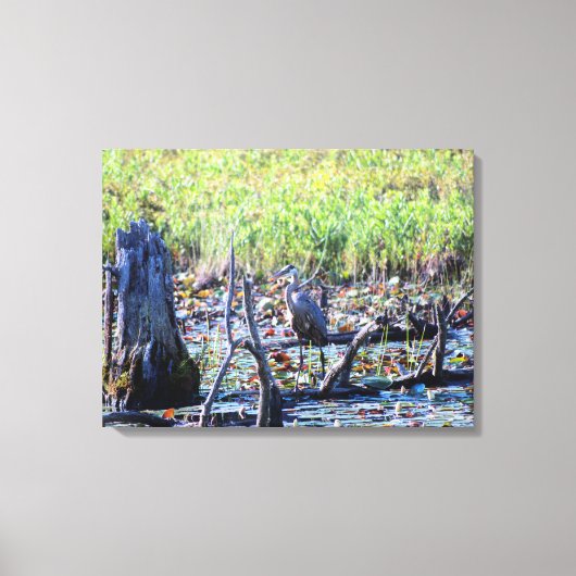 Heron 6467 leinwanddruck (Vorderseite)