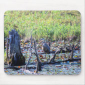 Heron 6467 mousepad (Vorne)