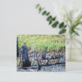 Heron 6467 postkarte (Stehend Vorderseite)