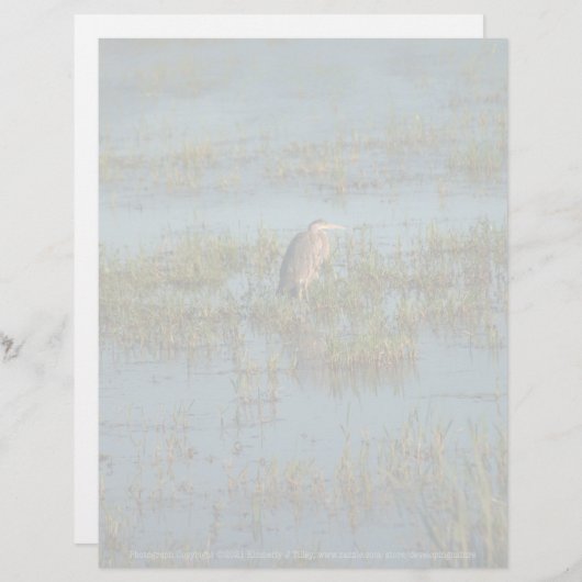 Heron 6937 (Vorne/Hinten)