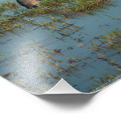 Heron 6937 fotodruck (Ecke)