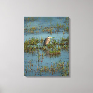 Heron 6937 leinwanddruck