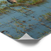 Heron 6937 poster (Ecke)