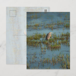 Heron 6937 postkarte