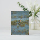 Heron 6937 postkarte (Stehend Vorderseite)