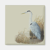 Heron am Marsh Edge Magnet (Vorne)