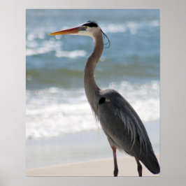Heron am Strand Farbe 16x20 Poster