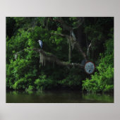 Heron and Lazy River Poster Print (Vorne)