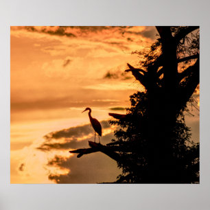 Heron at Sunset - James River - Art Poster