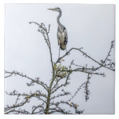 Heron auf Baumansicht Keramik Kachel (Vorderseite)