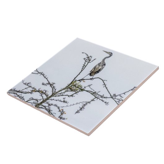 Heron auf Baumansicht Keramik Kachel (Seite)