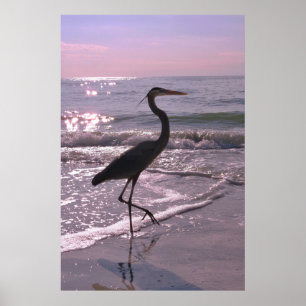 Heron auf einem Spaziergang Poster