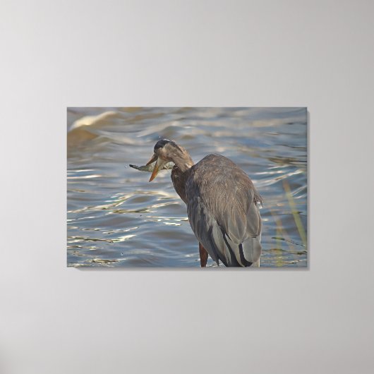 Heron Beach Birds Wildlife Animals Coastals Fotos Leinwanddruck (Vorderseite)