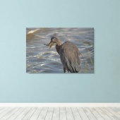 Heron Beach Birds Wildlife Animals Coastals Fotos Leinwanddruck (Insitu (Holzboden))