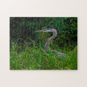 Heron Beach Florida. Puzzle (Horizontal)