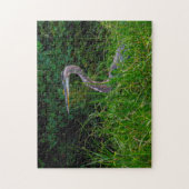 Heron Beach Florida. Puzzle (Vertikal)