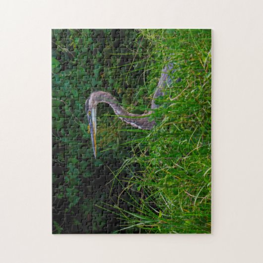 Heron Beach Florida. Puzzle (Vertikal)