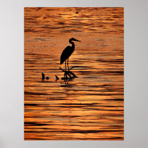Heron bei Sunset Poster