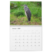 Heron Bird 2025 Kalender (Jan 2027)