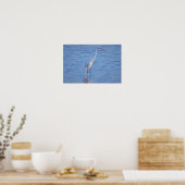 Heron Bird Foto Poster (Küche)