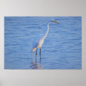 Heron Bird Foto Poster (Vorne)