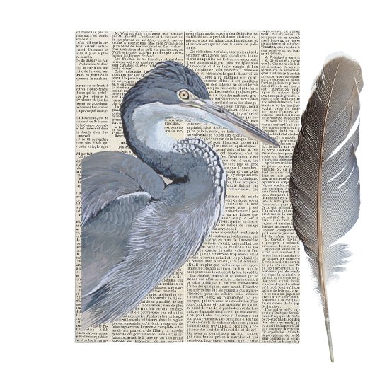 Heron Bird French Newspapier Vintag Decoupage Seidenpapier