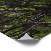 Heron Bird in Tree Poster (Ecke)