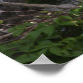 Heron Bird in Tree Poster (Ecke)