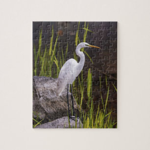 Heron Bird Nature River Rocks Puzzle