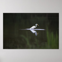 Heron Bird on Water Poster