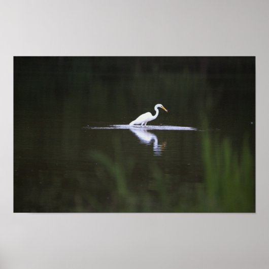 Heron Bird on Water Poster (Vorne)