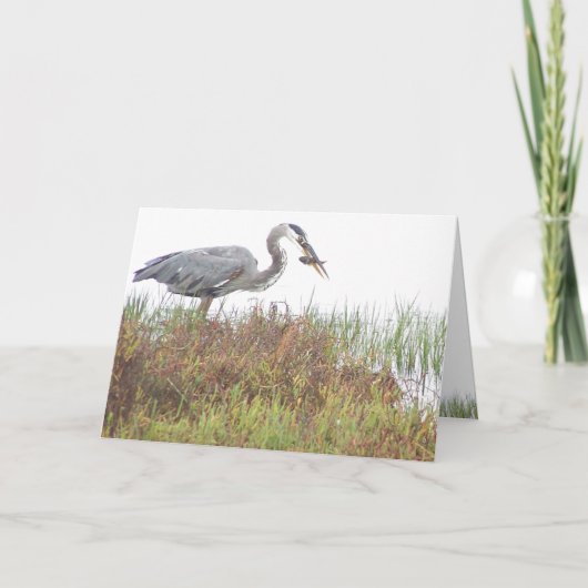 Heron Birds Wildlife Animals Wetlands Karte (Vorderseite)