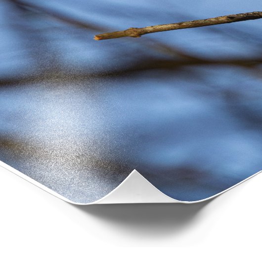 Heron Cendri Fotodruck (Ecke)