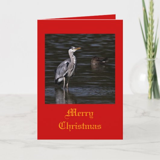 Heron Christmas Cards Feiertagskarte (Vorderseite)