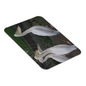 Heron Family 3"x4" Magnet (Rechte Seite)