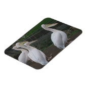 Heron Family 3"x4" Magnet (Linke Seite)