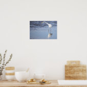 Heron Foto Poster (Küche)