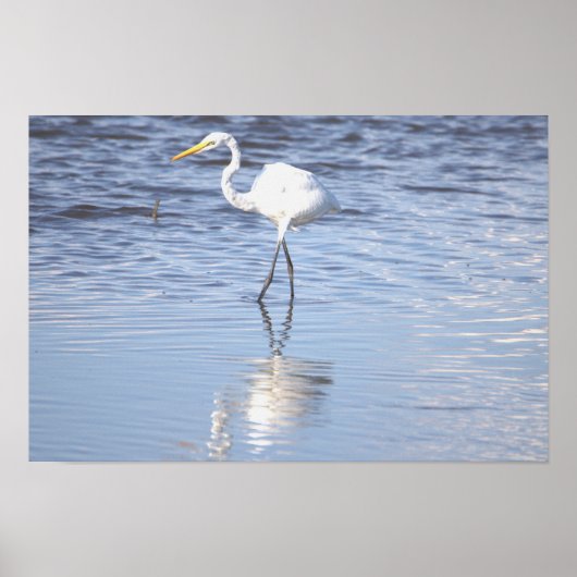 Heron Foto Poster (Vorne)