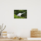 Heron Foto Poster (Küche)