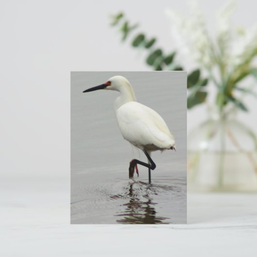 Heron Foto Postkarte (Stehend Vorderseite)