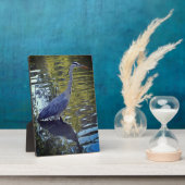 Heron Fütternd im Teich bei RHS Wisley, Vereinigte Fotoplatte (Seite)