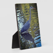 Heron Fütternd im Teich bei RHS Wisley, Vereinigte Fotoplatte (Seite)