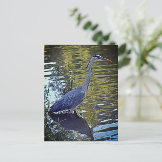 Heron Fütternd im Teich bei RHS Wisley, Vereinigte Postkarte (Stehend Vorderseite)