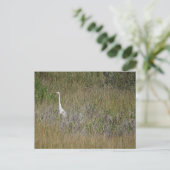Heron im Gras Postkarte (Stehend Vorderseite)