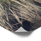 Heron im Grasplakat Poster (Ecke)