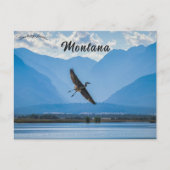 Heron im Schutzgebiet Ninepipe Wildlife in Montana Postkarte (Vorderseite)