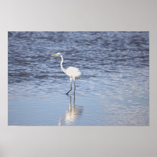 Heron im Wasserposter Poster (Vorne)